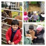 farm1