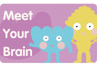 Meet your brain