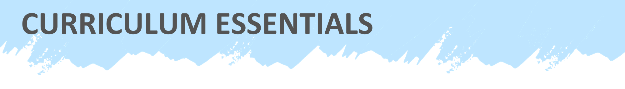 Essentials Banner