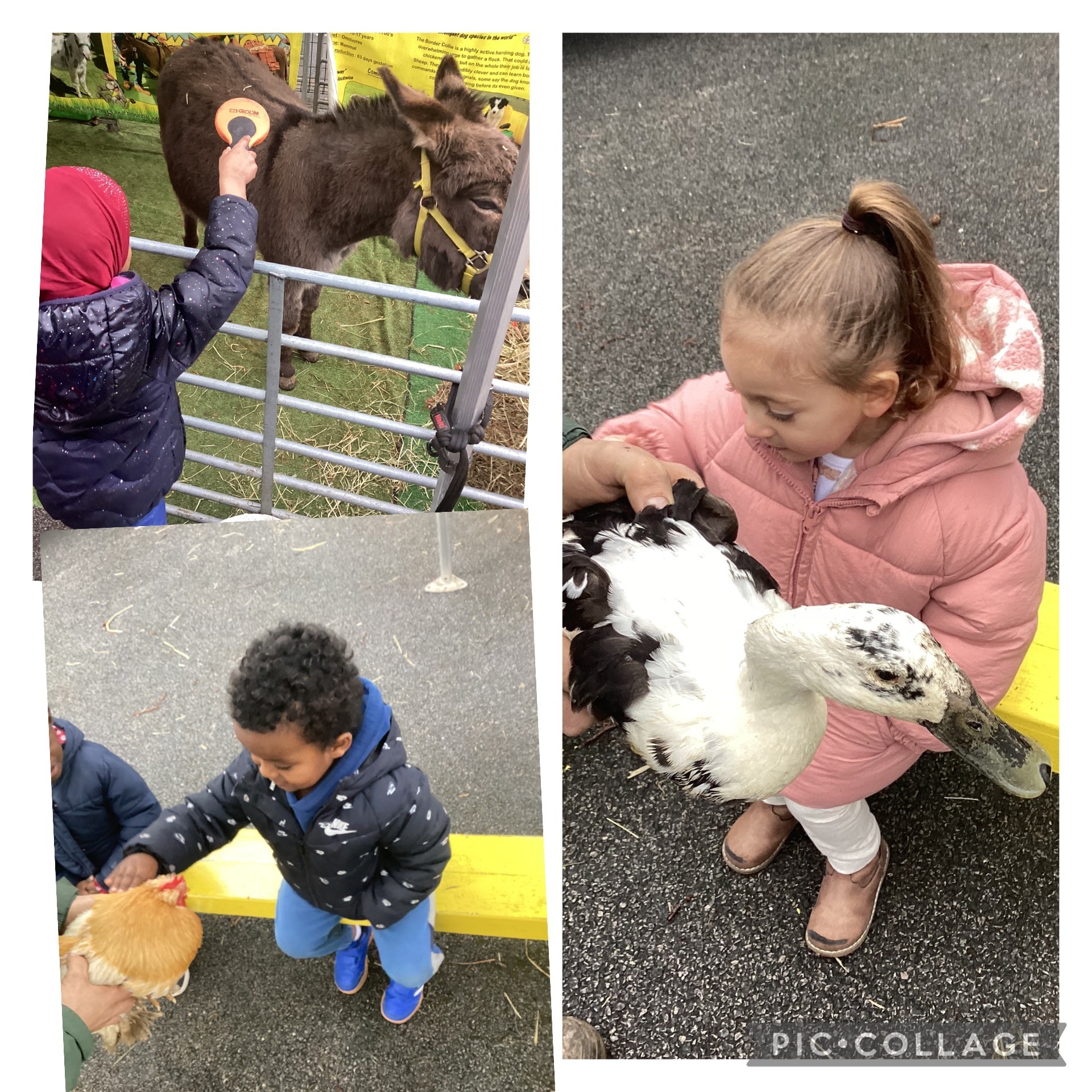 farm4