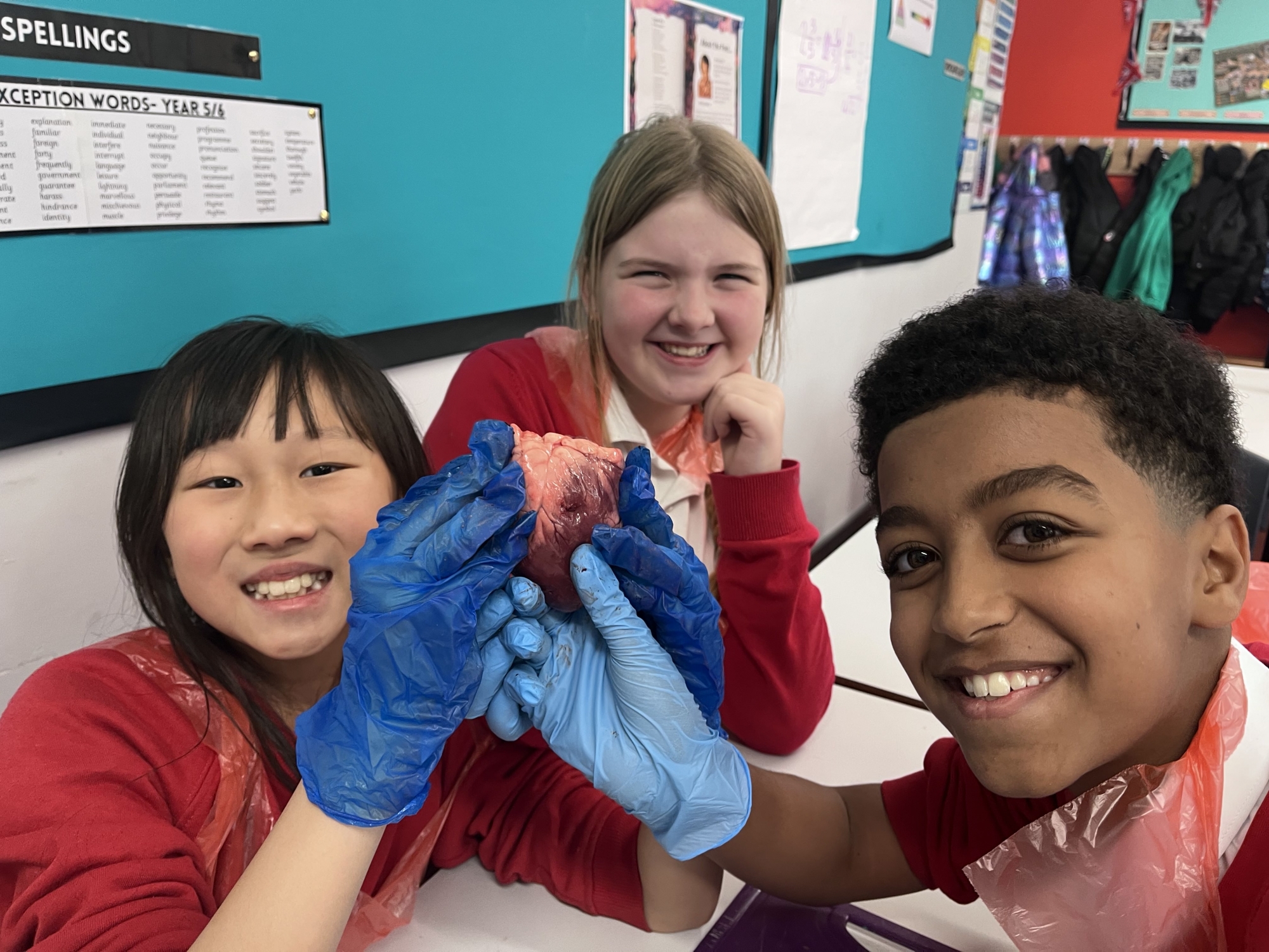 20251119_134502685_iOS_(2)