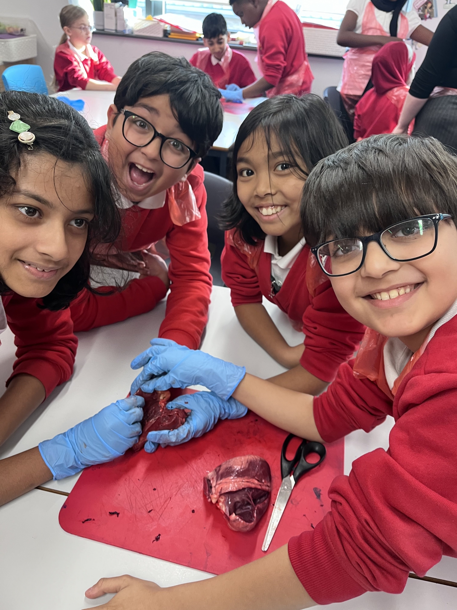 20251119_135042436_iOS